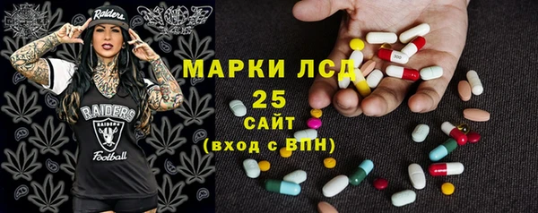 apvp Алзамай