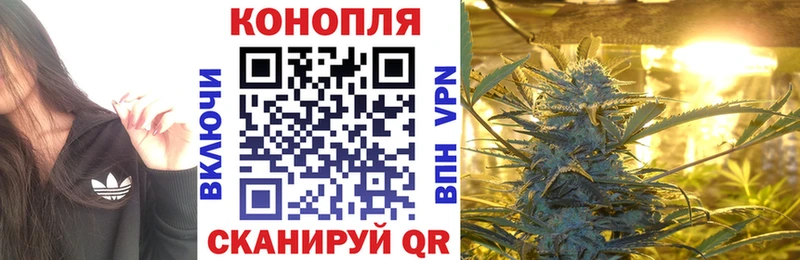 Бошки Шишки марихуана Орлов