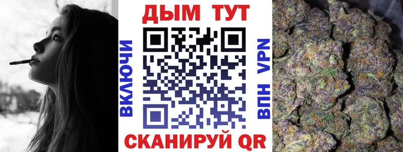 как найти наркотики  Орлов  Конопля Bruce Banner 